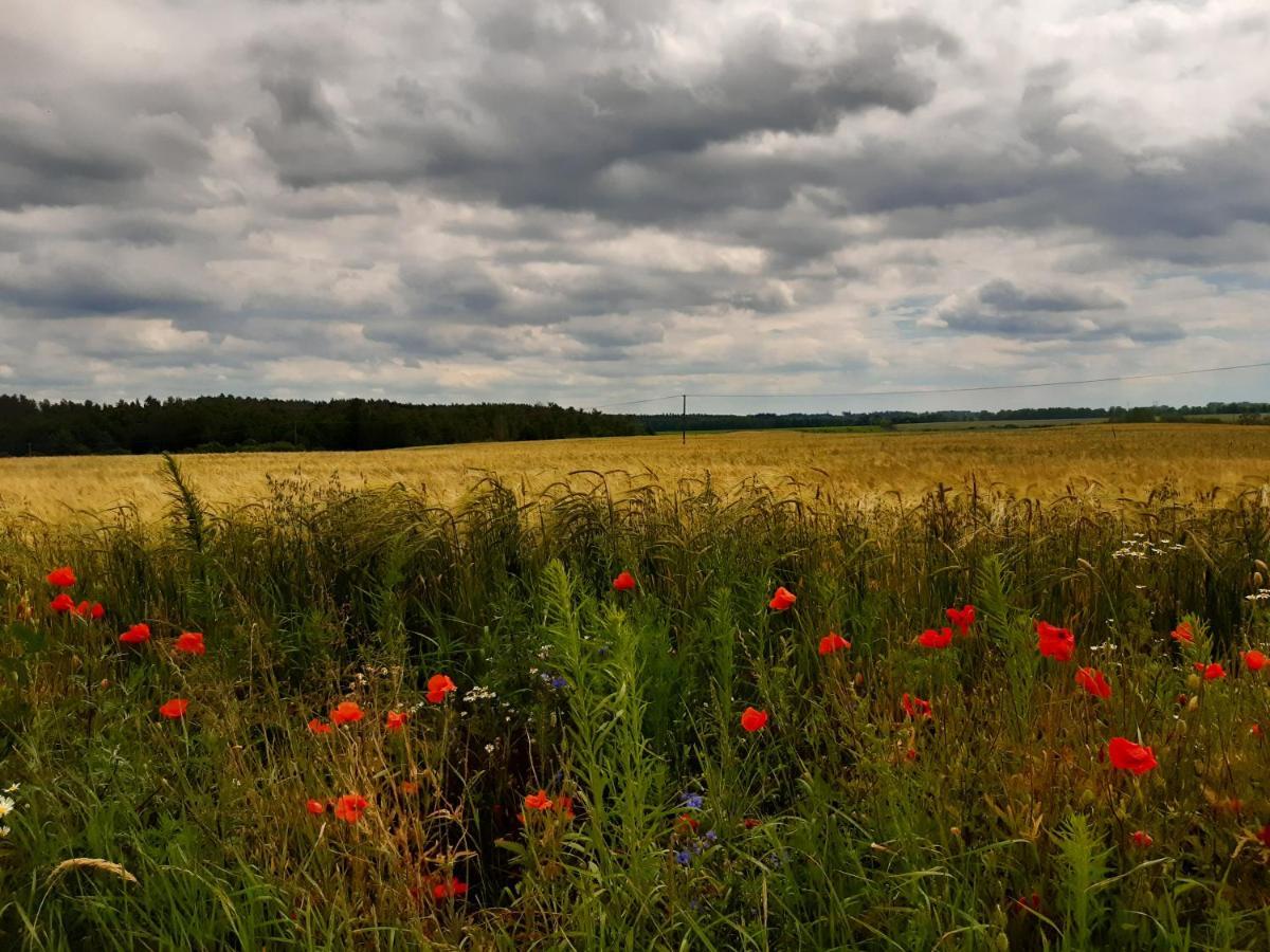 Czarna Jachta - Na Szlaku Legend - - - - - Pokoje Nad Jeziorem กรูกลานกิ ภายนอก รูปภาพ